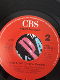 The Passadenas - Enchanted lady
