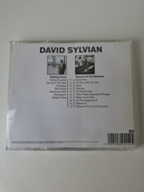 David Sylvian - Brilliant trees secret of the beehive