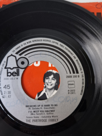 The Partridge family - I think I love you