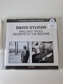 David Sylvian - Brilliant trees secret of the beehive