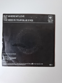 Rene Schuman - But where my love