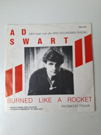 Ad Swart - Burned like a rocket