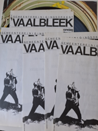 Vaalbleek
