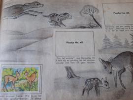 Plaatjesboek Bambi