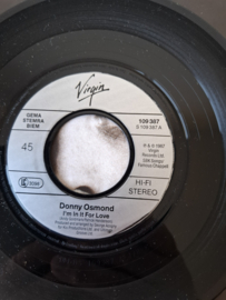 Donny Osmond - I'm in it for love