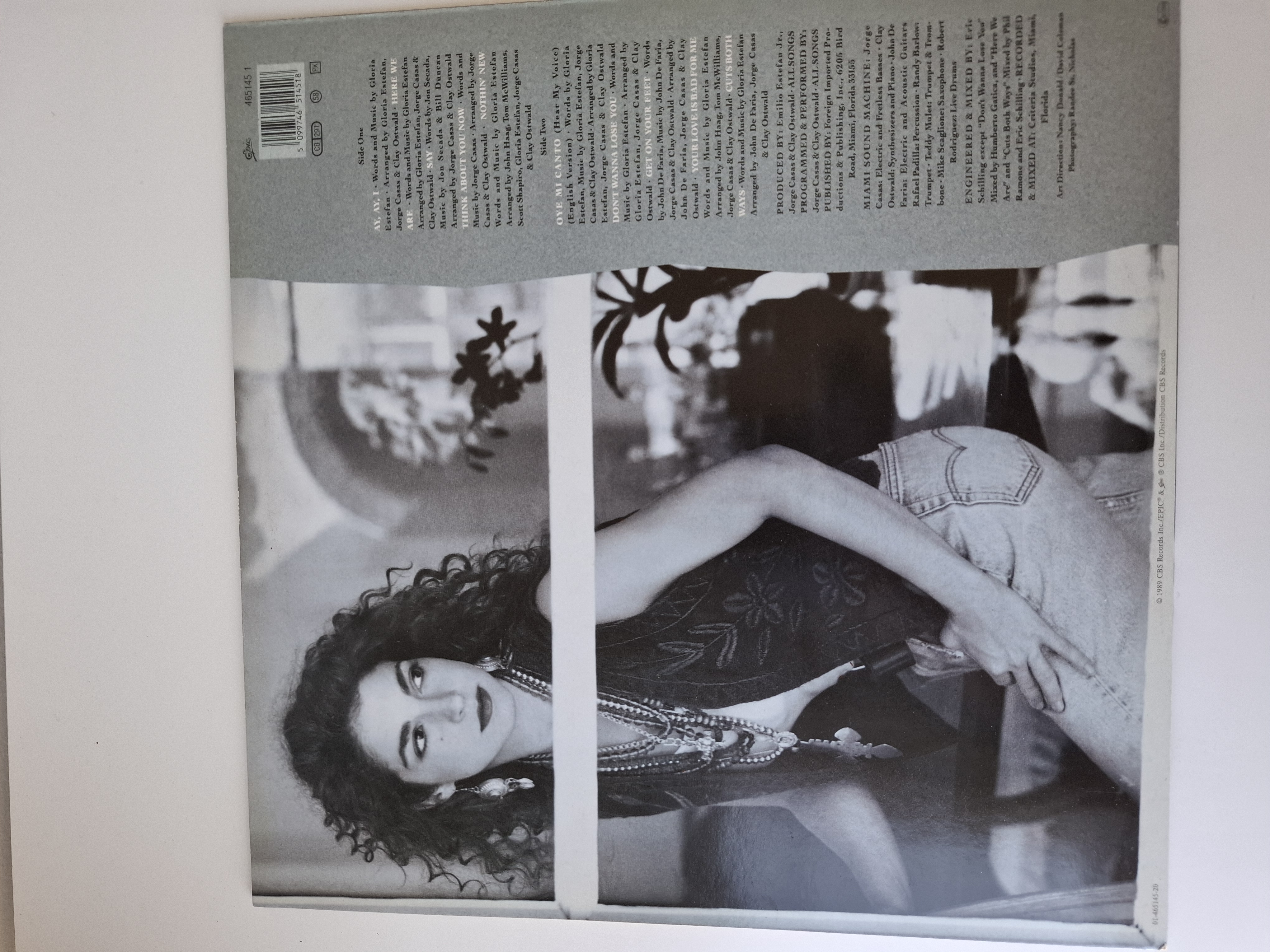 Gloria Estefan - Cuts both ways