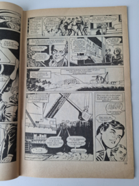 Batman nr 110