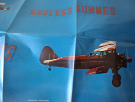 The Beach Boys - Endless summer