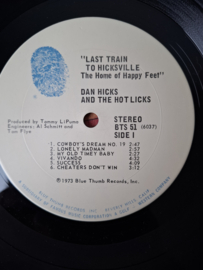 Dan Hicks and the hot licks - Last train to Hicksville