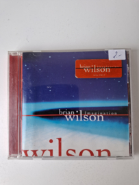 Brian Wilson - Imaginatio