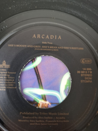 Arcadia - Election day