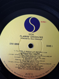 Flamin' Groovies - Now