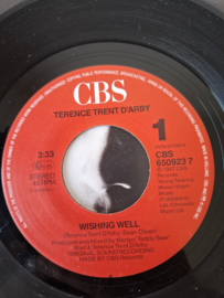 Terence Trent D'Arby - Wishing well
