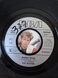 Mr. Mister - Broken wings