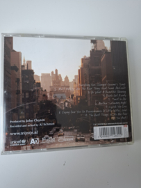 Trijntje Oosterhuis - Sundays in New York