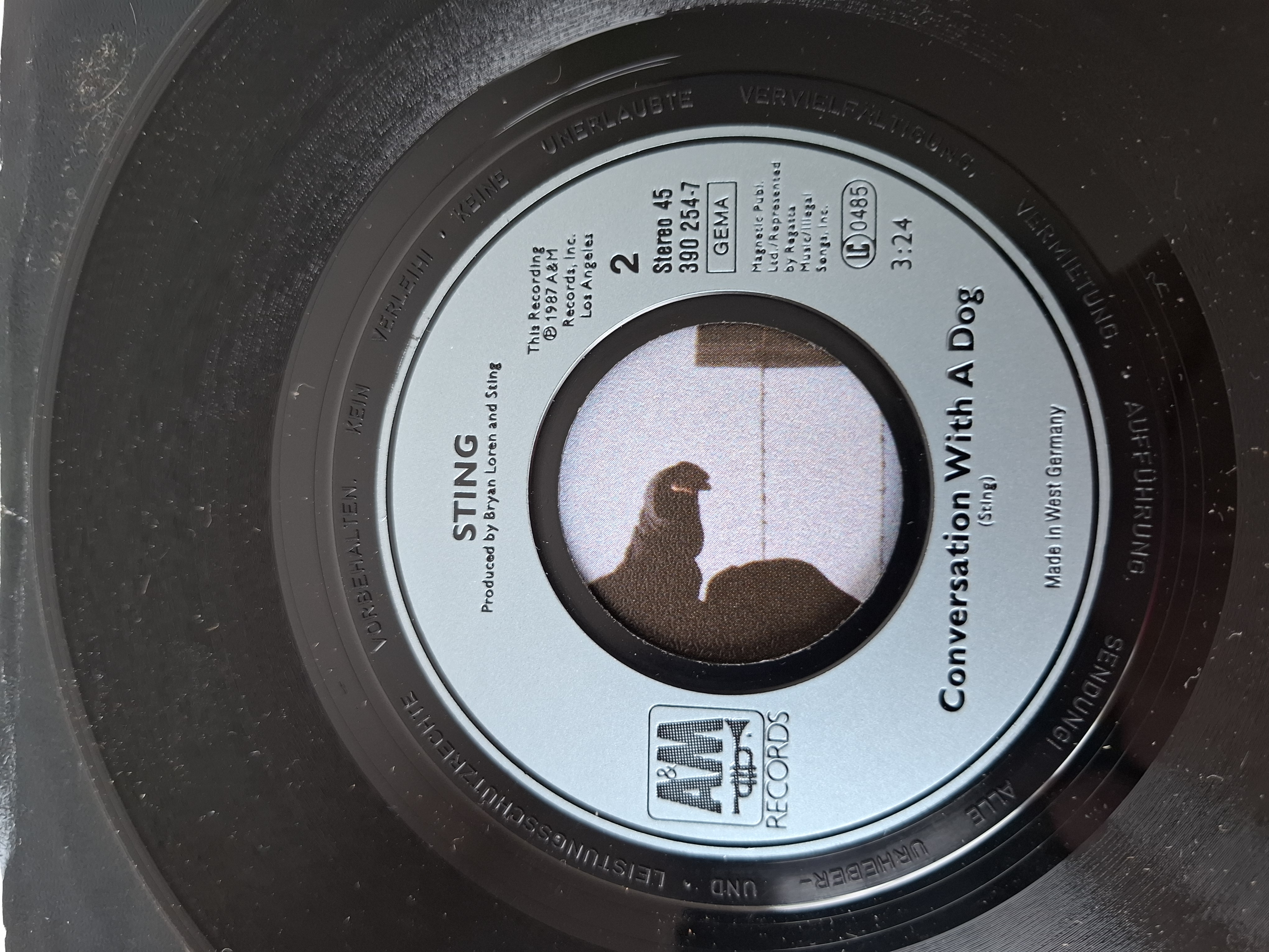 Sting- We'll be together