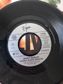 Ziggy Marley - Look who's dancing