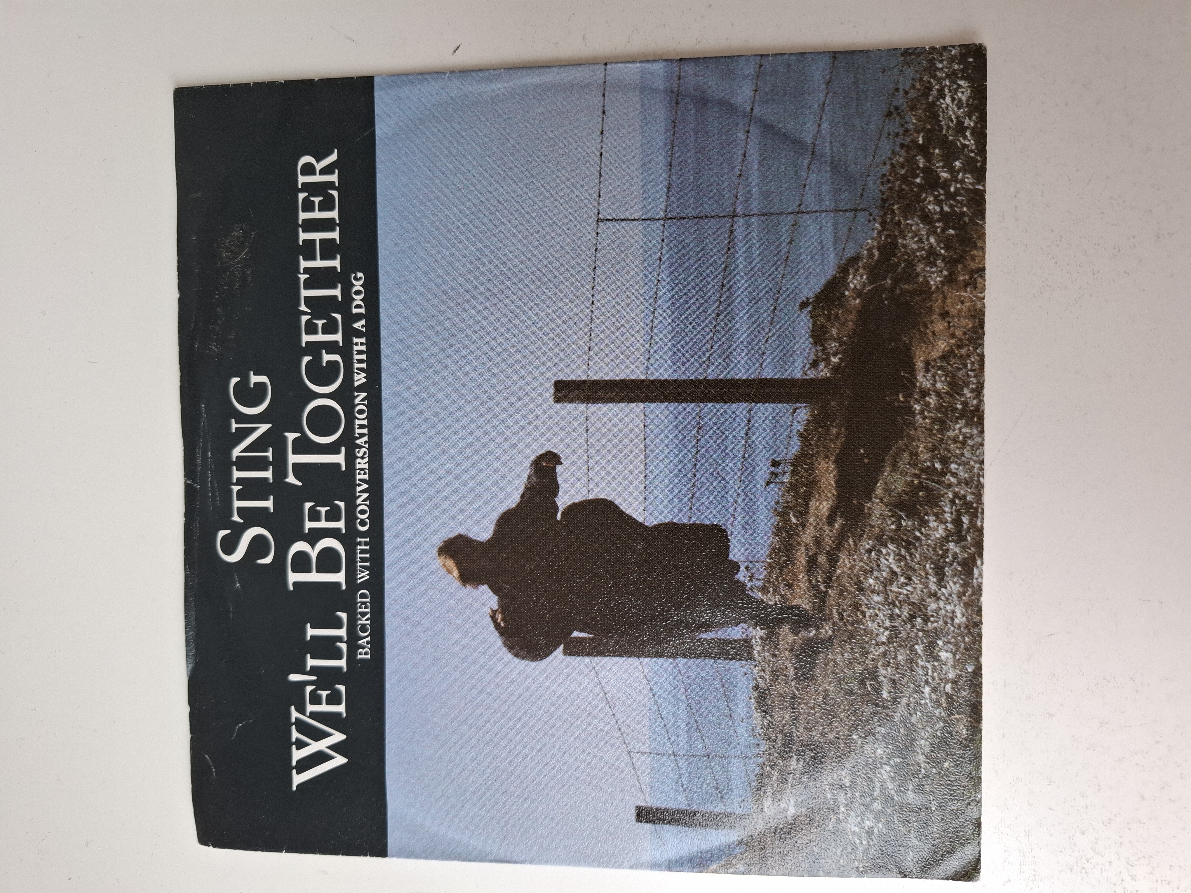 Sting- We'll be together
