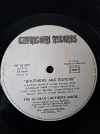 The Allmand Brothers Band - Brothers and sisters