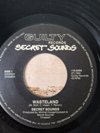Secret Sounds - Wasteland Johnny