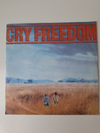 Cry Freedom - The funeral