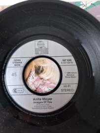 Anita Meijer - The story of a new born love