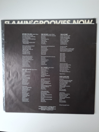 Flamin' Groovies - Now
