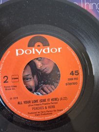 Peaches & Herb - Shake your groove thing