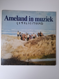 Ameland in Muziek