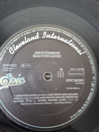 Jim Steinman - Bad for good