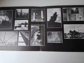 Pink Floyd - Animals