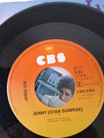 Janis Ian - The other side of the sun