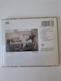 Peter Hammill - The love songs