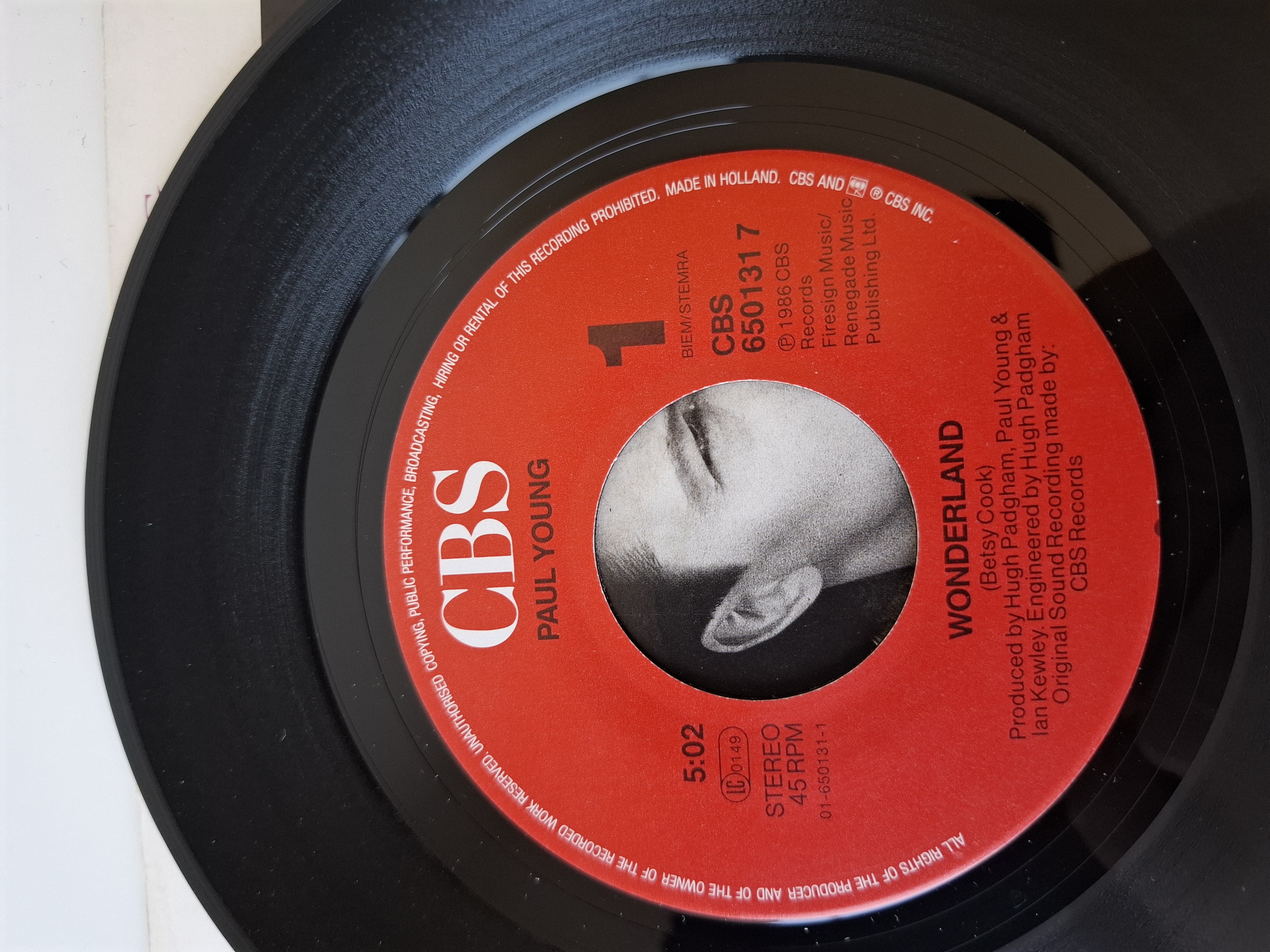 Paul Young - Wonderland