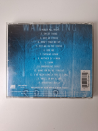 Mick Jagger - Wandering spirit