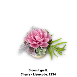 Zeepbloem in kleine houten pot (één bloem)