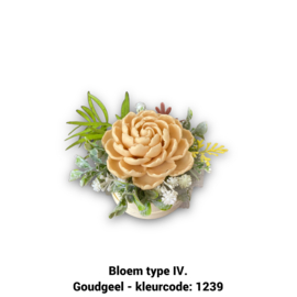 Zeepbloem in kleine houten pot (één bloem)