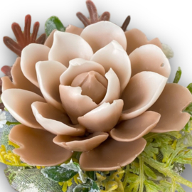 Choco-wit - kleurcode: 1237