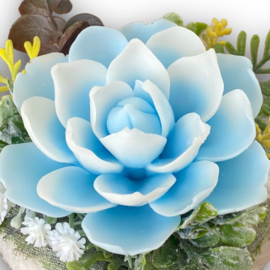 Blauw-wit - kleurcode: 1232