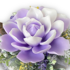 Lila-wit - kleurcode: 1241