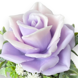 Lila-roze - kleurcode: 12401