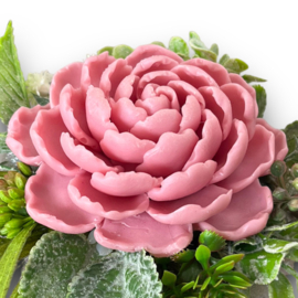 Pastel cherry - kleurcode: 12410