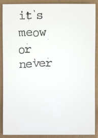 It's meow or never