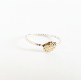LEAF