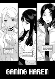 GAMING HAREM Compilation 1