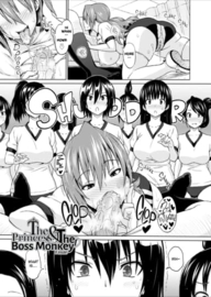 Cast Aoi
