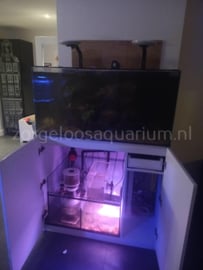 Aquarium verhuizen na aankoop marktplaats -pagina 2