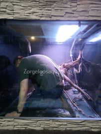 Een aquariumruit is gescheurd/ gebroken door externe factoren