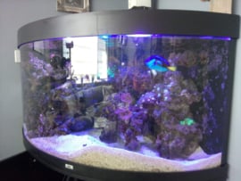 Aquarium verhuizen wegens verhuizing