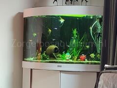 Aquarium verhuizen na aankoop marktplaats -pagina 2